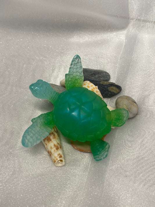 Tortue